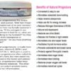 WhatsApp-Image-2021-09-08-at-5.33.02-PM-2.jpeg NATURAL PROGESTERONE 3000 wild yam BLUE LABEL