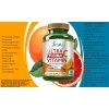 ULTRA LIPOSOMAL VITAMIN C 1600 MG 100 CAPSULES  High Absorption AFAC
