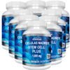 CELULAS MADRES STEM CELLS 8 BOTTLES PACK BLUE ALGAE AFA