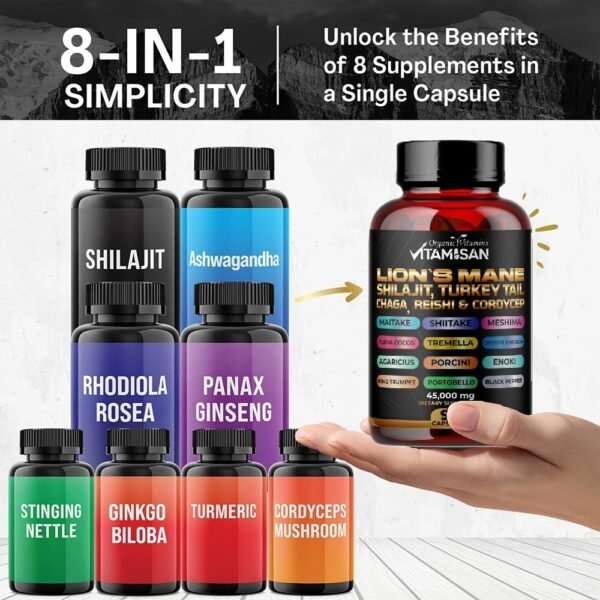 Lion Mane Mushroom Complex 45000mg with Shilajit  90 Caps USA VITAMISAN