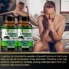L-Arginine Support Plus by Drgreen’s – Advanced Nitric Oxide Supplement for Muscle Growth, Vascularity & Faster Recovery – 3000mg Formula
