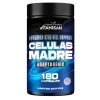 celulasmadres180.jpg CELULAS MADRES STEM CELLS PLUS ADAPTOGENS - 180 CAPSULES