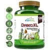 DiabetiXL Blood Sugar Balance 120 caps