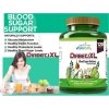 DiabetiXL Blood Sugar Balance 120 caps